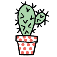 /images/favicon.png